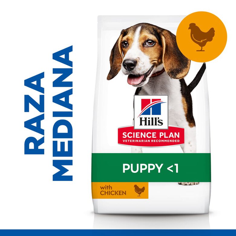 Hill's Science Plan Puppy Medium Frango ração para cães, , large image number null